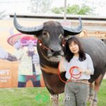 “บิทคับ เวนเจอร์ส - เจ้าทุย - ซีพีเอฟ” จับมือเปิดตัวอาหารควายสูตรใหม่