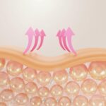 โปรแกรม Sculptra คืออะไร ช่วยเรื่องไหน เหมาะกับใครบ้าง?