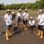 โตโยต้า ต่อยอดกิจกรรมปลูกป่าชายเลน ปีที่ 17 