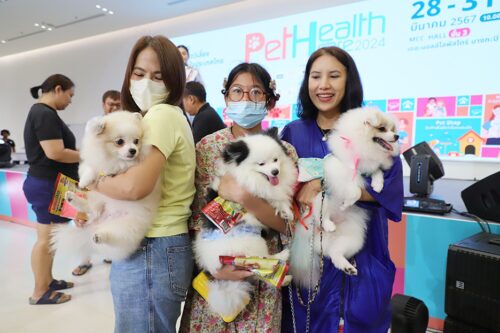 Pet Humanization Drives Thai Business Growth to over $1 Billion