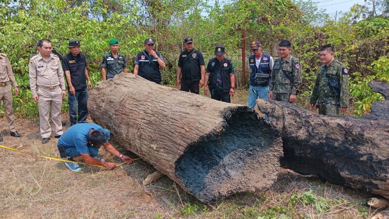 จับมอดไม้เถื่อน ขนไม้ซุกป่าตบตาเจ้าหน้าที่ คาดช่วงนี้ทะลักเร่งผลิตขายให้ทันสงกรานต์