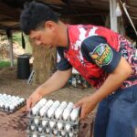 ต้องทำใจ ร้อนมากขอนแก่น เป็ดออกไข่น้อย กระทบการผลิต-ผู้บริโภค ประกาศปรับขึ้นราคา