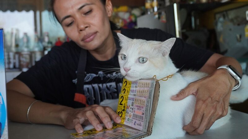 ทาสฮือฮา น้องเหมียว"มะรุม"กระพริบตาเชียร์ขายเลขเด็ดนักเสี่ยงโชค  