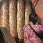 สาธุชนคึกคัก แห่กราบไหว้ปิดทองขอพร หลวงพ่อสมหวัง ไม่พลาดขอโชคลาภ-ได้เลขเด็ด
