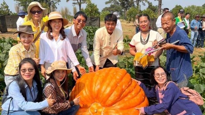 ชื่นชมศิษย์เก่าแม่โจ้ คิดค้นวิธีปลูกฟักทองสายพันธุ์ยักษ์ใหญ่สุดในประเทศ