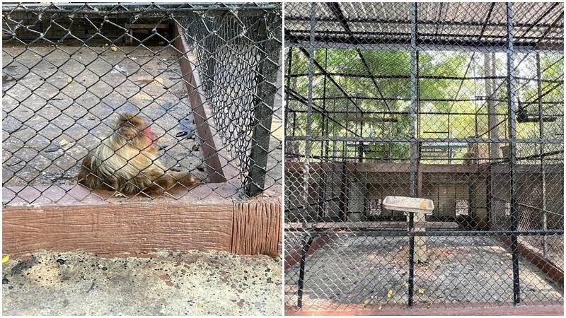 เปิดภาพ สวนสัตว์ลพบุรี คนเที่ยวหดหู่ สภาพสุดแย่ สัตว์นอนเหมือนตาย น้ำสักหยดก็ไม่มี