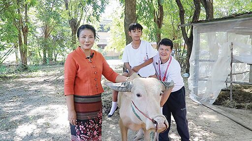 เพื่อนตัวเล็ก - น้องทองงาม-เพชรงาม ธนาคารควายสิงห์บุรี
