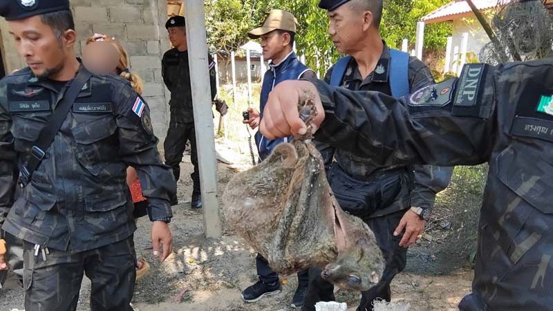 บุกจับ2สามีภรรยาลักลอบค้า "สัตว์ป่าคุ้มครอง" โพสต์ขายโจ่งแจ้งในโลกออนไลน์