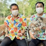 สวนสัตว์เปิดเขาเขียว ฉลองสงกรานต์ เชิญสักการะพระบรมสารีริกธาตุ อวดโฉม “ลูกลีเมอร์หางแหวน”