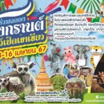 สวนสัตว์เปิดเขาเขียว ฉลองสงกรานต์ เชิญสักการะพระบรมสารีริกธาตุ อวดโฉม “ลูกลีเมอร์หางแหวน”