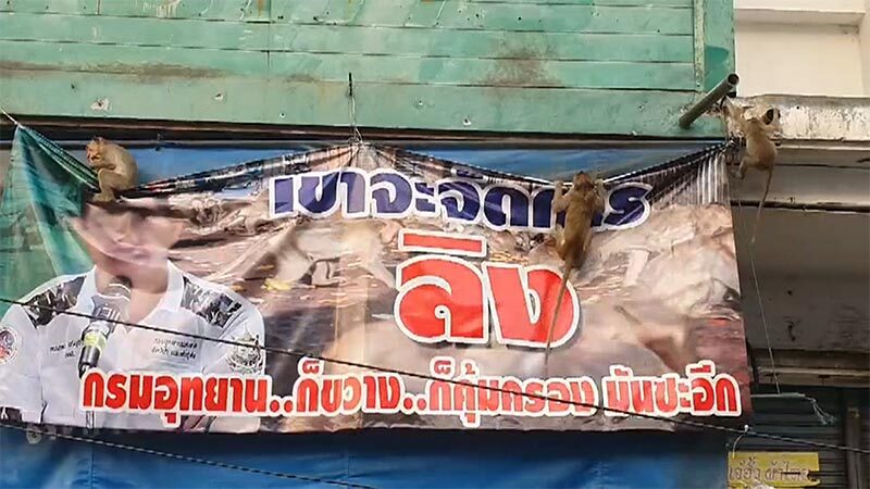 พิภพวานร ฝูงลิงลุกฮือ รุมทึ้งทำลายป้ายประท้วง-ขับไล่ลิง ทั้งกัดกระชากหลุดลุ่ย