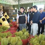 สหกรณ์การเกษตรเขาคิชฌกูฏ จำกัด ต้นแบบสหกรณ์ส่งออกทุเรียนลุยตลาดจีน