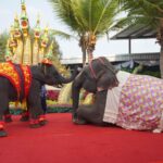 “มหาสงกรานต์ ดอกไม้บาน ที่สวนนงนุช” ชมความน่ารัก ลูกช้างรดน้ำดำหัวแม่ช้าง