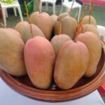 กรมส่งเสริมการเกษตรโชว์ผลงานแก้ปัญหาสินค้าเกษตร ลำไย มะม่วง จ.ลำพูน