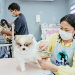 ฉลองครบรอบ 3 ปี Pet Us จับมือ Nekko