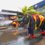 “มหาสงกรานต์ ดอกไม้บาน ที่สวนนงนุช” ชมความน่ารัก ลูกช้างรดน้ำดำหัวแม่ช้าง