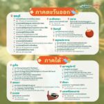 ชวนเที่ยวงาน “เย็นทั่วหล้า มหาสงกรานต์ 2567” แจกปฏิทินสงกรานต์ 93 พิกัด 