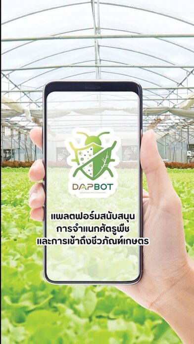 หลาก&หลาย - ‘แดปบอท’คู่คิดติดปลายนิ้ว แพลตฟอร์มช่วยเกษตรกรจำแนกศัตรูพืช