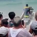 ระทึก! คลื่นซัด วาฬหัวแตงโมเกยหาดป่าตอง ไลฟ์การ์ดอุ้มขึ้นเจ็ตสกี ซิ่งปล่อยคืนทะเลลึก