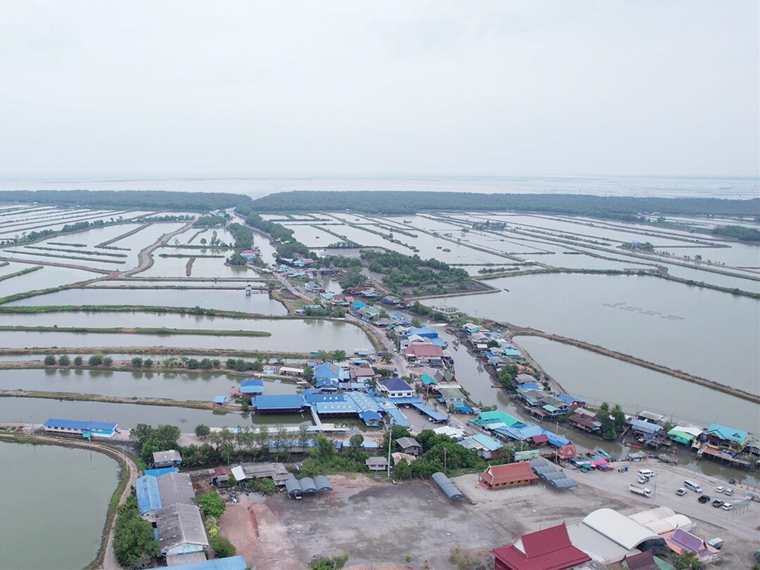สดจากเยาวชน - สนุกหน้าเลน เด็กคลองโคน