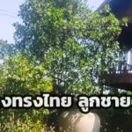 แจ้งความแล้ว เอาผิดถึงที่สุด ยูทูบเบอร์ ไม่ขออนุญาตบุกบ้าน ถ่ายคลิปลงยูทูบ อ้างบ้านผีสิง