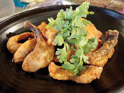อิ่มอร่อย - อาหารป่าประจำการณ์ วัตถุดิบสดใหม่-รสจัดจ้าน