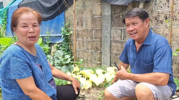 ฮือฮา ยอดฟักทอง แทงช่อออกลูกเหลืองอร่าม เจ้าของบ้าน เผย งวดที่แล้วจุดธูปขอโชคลาภ สุดปัง ได้โชคหลายหมื่นบาท ชาวบ้านแห่มาขอดู