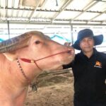 หนังคนละม้วน! ปวิช อดีตสามี หนึ่ง บางปู แฉกลับ ฝ่ายหญิงขอเลิก เรียกทนายมาเขียนเอกสารแบ่งสมบัติ