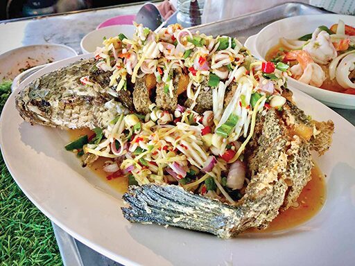 อิ่มอร่อย - อาหารป่าประจำการณ์ วัตถุดิบสดใหม่-รสจัดจ้าน