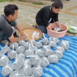 1ปีมี1ครั้ง แห่เก็บเห็ดถอบขาย รายได้งาม ทะยานอันดับ1พืชเศรษฐกิจเมืองสามหมอก เงินสะพัดหลายล้าน