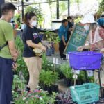 สร้างสุขภาพดี ชีวีมีสุข พิพิธภัณฑ์การเกษตรฯ ปทุมธานี งานตลาดเศรษฐกิจพอเพียง