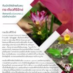 ชนิดใหม่ของโลก ทีมนักวิจัยไทย ค้นพบ กระเจียวศิริรักษ์ พืชสกุลขมิ้น กินได้-ยาสมุนไพร