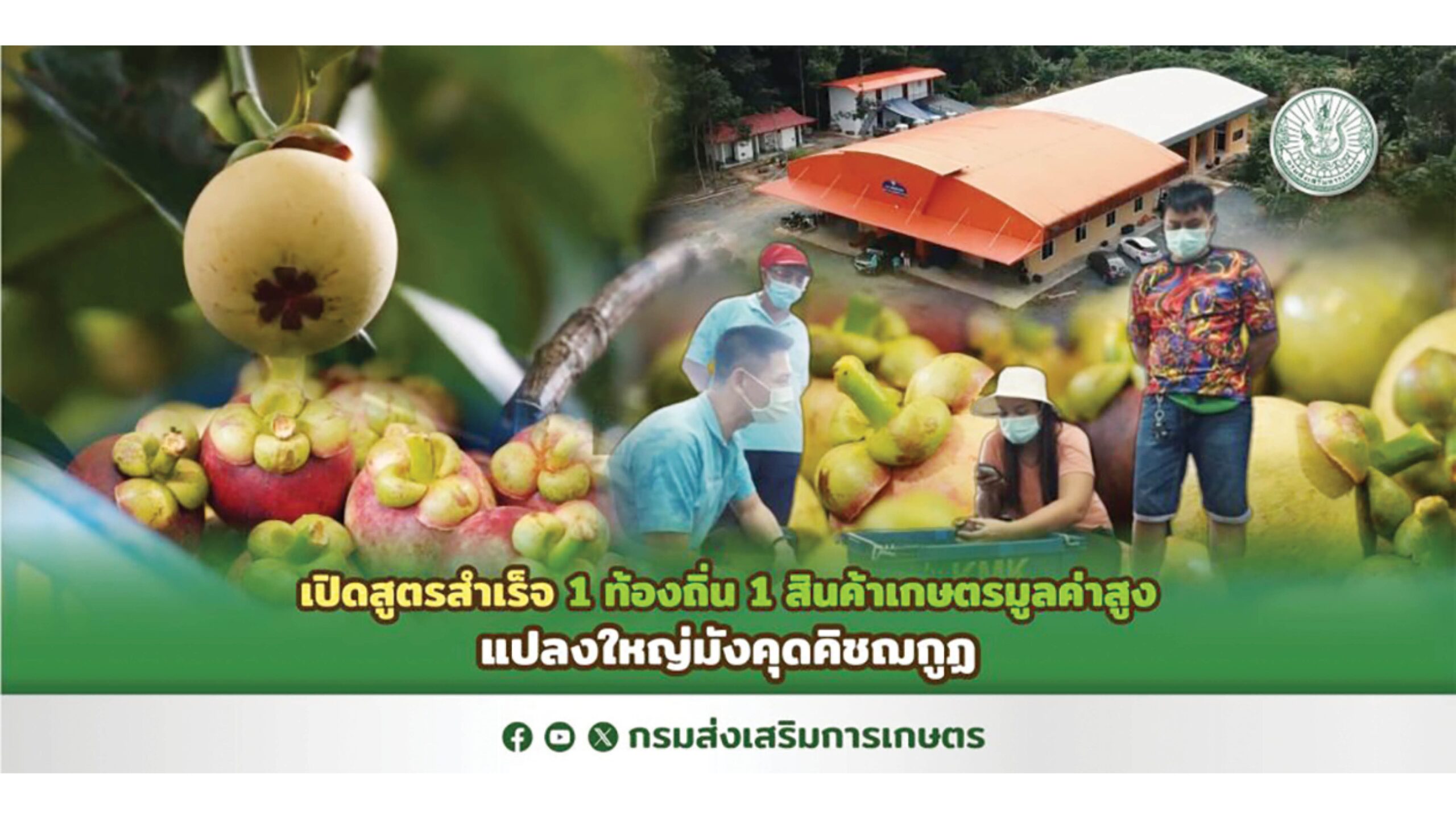 หลาก&หลาย - ชูแปลงใหญ่มังคุดคิชฌกูฏ 1 ท้องถิ่น 1 สินค้าเกษตรมูลค่าสูง