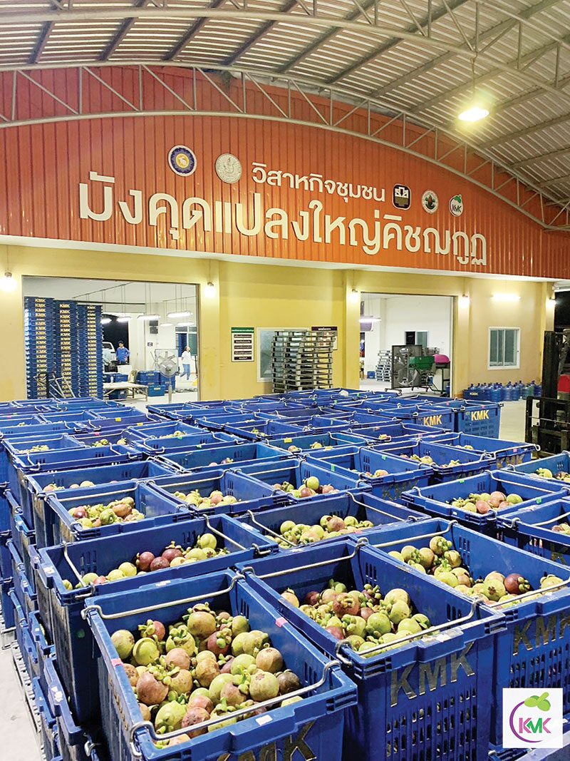 หลาก&หลาย - ชูแปลงใหญ่มังคุดคิชฌกูฏ 1 ท้องถิ่น 1 สินค้าเกษตรมูลค่าสูง