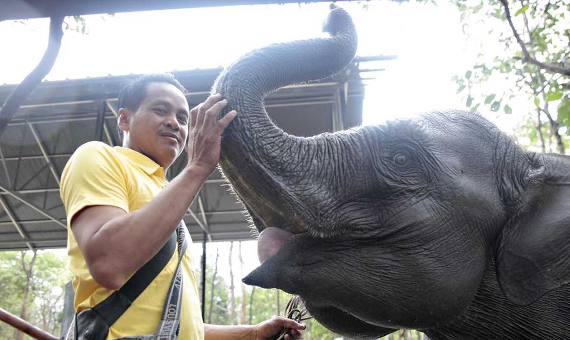 สปป.ลาวส่ง “ช้างเอเชีย” ให้กัมพูชา หวังกระชับมิตร-ยกระดับความปรองดอง