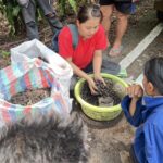 1ปีมี1ครั้ง แห่เก็บเห็ดถอบขาย รายได้งาม ทะยานอันดับ1พืชเศรษฐกิจเมืองสามหมอก เงินสะพัดหลายล้าน