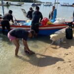 เรื่องเศร้า เต่าตนุ 4 ตัวติดอวนเรือหาปลา ชาวประมงเร่งช่วยชีวิต ไม่รอด ตาย 3 ปล่อยคืนทะเล 1