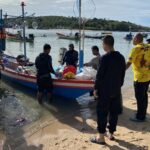 เรื่องเศร้า เต่าตนุ 4 ตัวติดอวนเรือหาปลา ชาวประมงเร่งช่วยชีวิต ไม่รอด ตาย 3 ปล่อยคืนทะเล 1