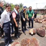 รมว.เกษตรฯ สั่งเร่งช่วยเหลือชาวสวน นำ 6 มาตรการ รีบแก้ปัญหาราคาปาล์มน้ำมันตกต่ำ