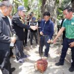 รมว.เกษตรฯ สั่งเร่งช่วยเหลือชาวสวน นำ 6 มาตรการ รีบแก้ปัญหาราคาปาล์มน้ำมันตกต่ำ