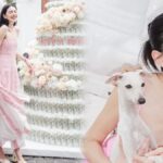 ใหม่ ดาวิดา สุดม่วนจอย จัดเบิร์ธเดย์ปาร์ตี้ เต๋อ ให้ของขวัญสุดพิเศษ "แซมซั่น"