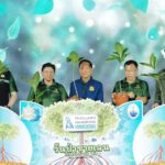 "พัชรวาท" ปลื้ม!! ป่าชายเลนไทยเพิ่มขึ้น