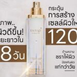 เอ็กซ์โซโลจี้ เอสเทติกส์ เปิดตัวผลิตภัณฑ์ใหม่  ExologY