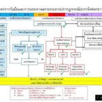 “พัชรวาท" ลุยภูเก็ตรับฟังปัญหาปะการังฟอกขาวหามาตรการรับมือทุกมิติ
