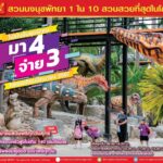 สวนนงนุช ขยายเวลาโปรโมชั่น “มา 4 จ่าย 3” ตลอดเดือนมิถุนายน