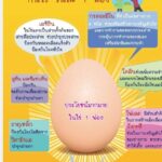 สมาคมไข่ไก่ฯ และหอการค้าไทย ผนึกกำลังร่วมกับภาคีเครือข่ายฯ