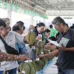 ตลาดไท สานต่อนโยบายภาครัฐ ยกระดับทุเรียนและผลไม้ไทย