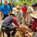 รองผู้ว่าฯ เชียงใหม่ ลงพื้นที่ชุมชนต้นแบบโครงการป่าปลอดเผา
