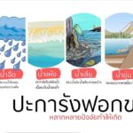 “พัชรวาท" ลุยภูเก็ตรับฟังปัญหาปะการังฟอกขาวหามาตรการรับมือทุกมิติ