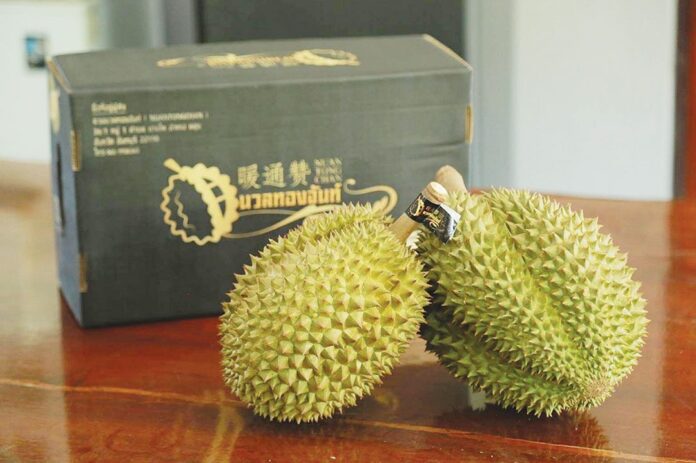 หลาก&หลาย - ชูสวนทุเรียน‘นวลทองจันท์’ ต้นแบบเกษตรยุคใหม่-ปรับตัวสู้แล้ง